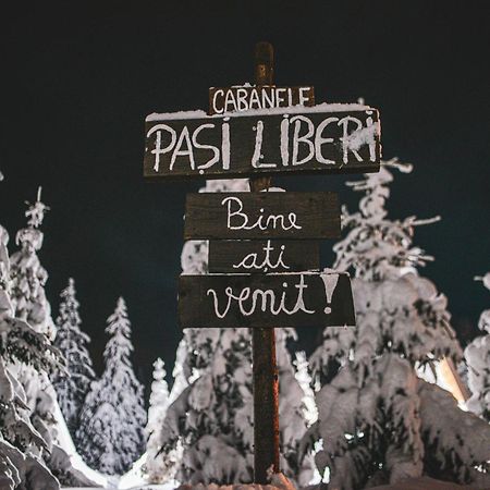Camere De Inchiriat Pasi Liberi Tău Bistra 외부 사진